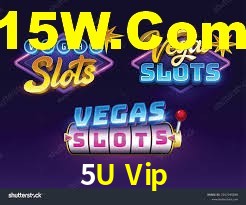 Explore as vantagens do 5U Vip: serviço profissional e confiabilidade