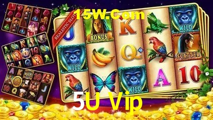 Sistemas de Segurança 5U Vip