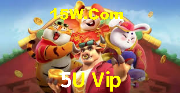 Interface Premium 5U Vip